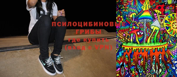 меф Горнозаводск