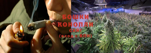 бошки Вяземский