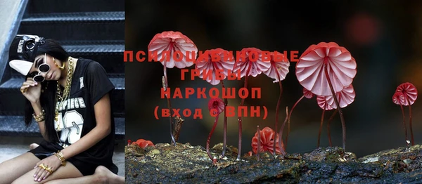 мдпв Горно-Алтайск