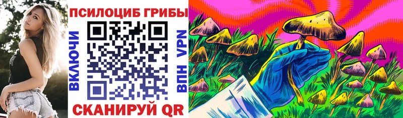 где продают наркотики  Москва  мега зеркало  Галлюциногенные грибы Cubensis 